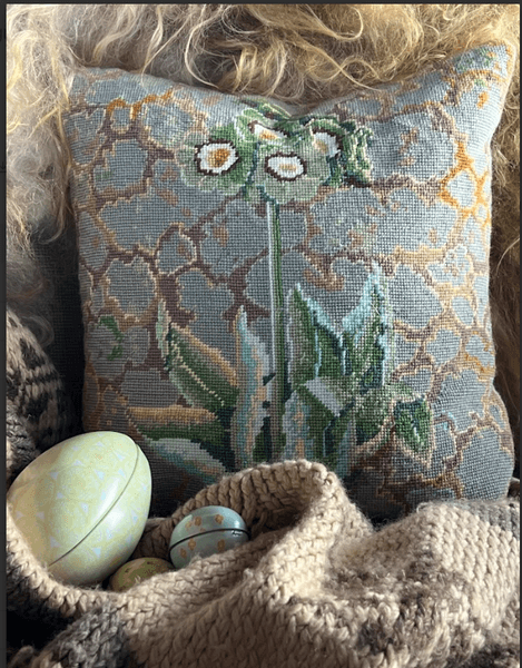 Lichen Auriculas